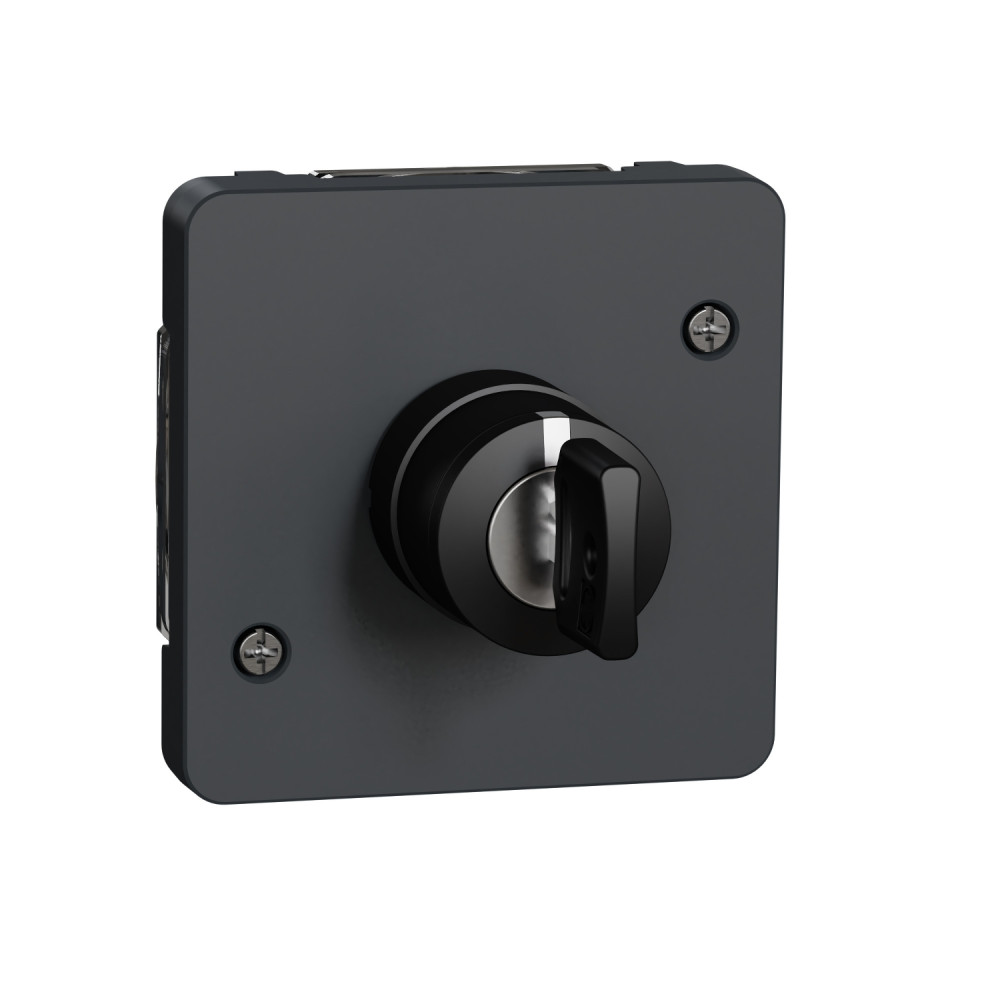Механізм вимикача з ключем на 3 положення IP55, чорний, Mureva Styl Schneider Electric MUR35061