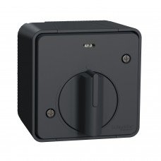 Выключатель с таймером IP55, для поверхностного монтажа, черный, Mureva Styl Schneider Electric MUR35067