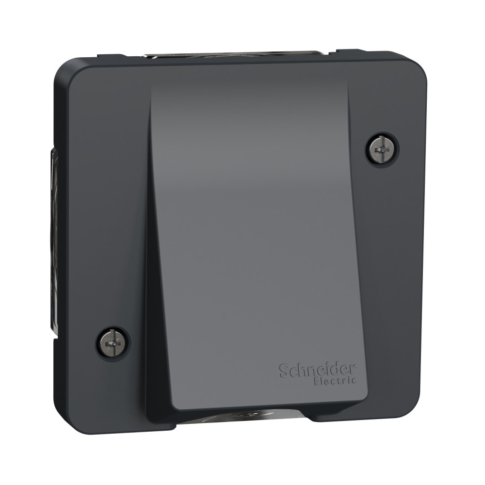 Механізм виводу кабеля IP55, чорний, Mureva Styl Schneider Electric, MUR37931