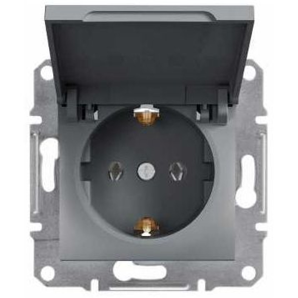 Розетка с заземлением и крышкой 16А Schneider Electric Asfora Сталь EPH3100162