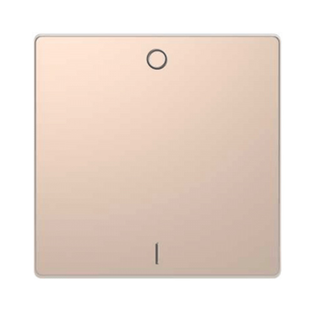 Кнопка с символом Merten D-Life Шампань (MTN3301-6051)