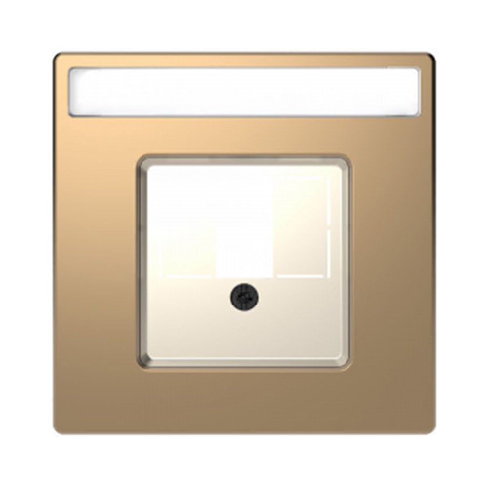 Панель аудиорозетки TAE/Audio Merten D-Life Шампань (MTN4250-6051)
