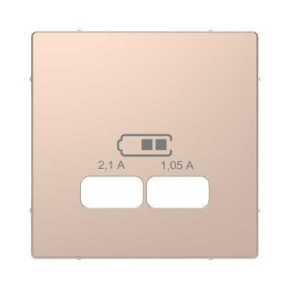 Панель розетки USB Merten D-Life Шампань (MTN4367-6051)