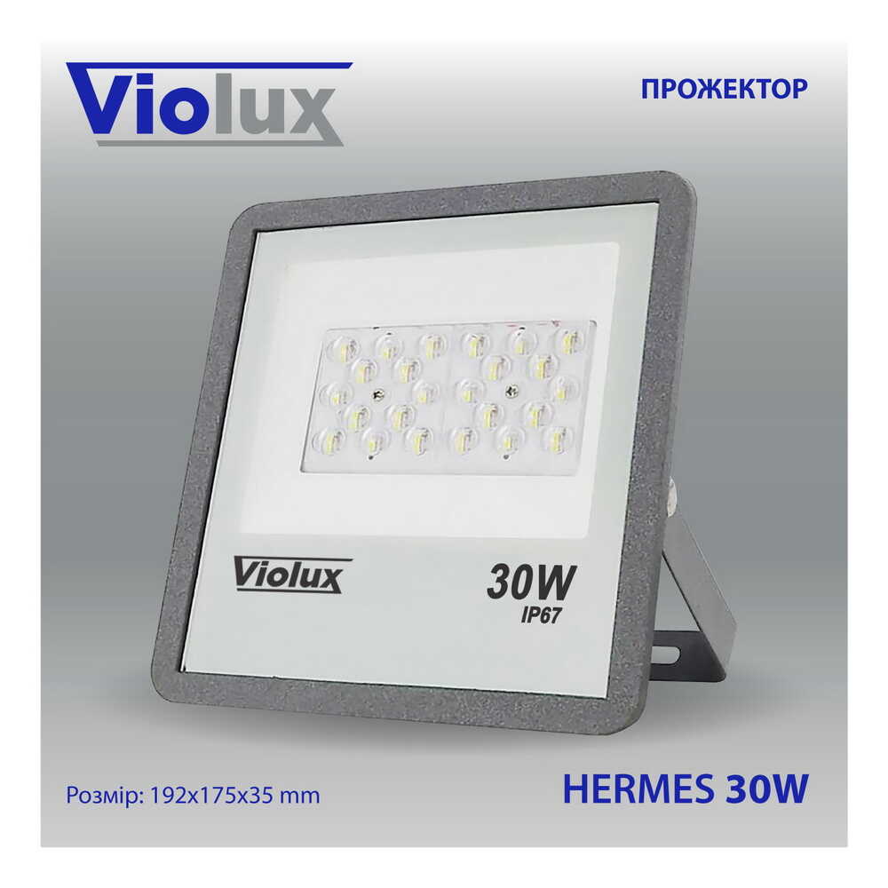 Прожектор LED Violux HERMES 30W SMD 6000K 3000lm IP67
