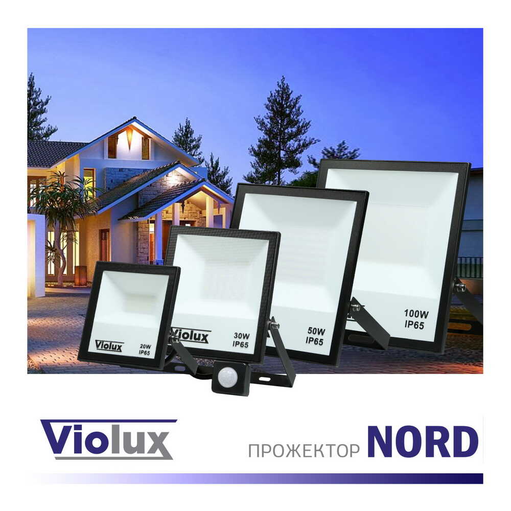 Прожектор LED Violux NORD 30W SMD 6000K 2550lm IP65